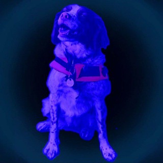 Логотип @madtbox - Каморка Уличных музыкантов