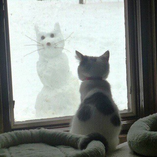 Логотип @mafiya0050 - Пункт психологической помощи