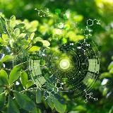 MAGADH UNIVERSITY OFFICIAL