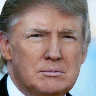 Логотип @maganewsfeed - MAGA News Feed