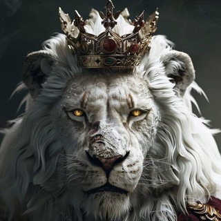 Логотип @magargentina - 🇦🇷 MAGArg🇦🇷®️️️