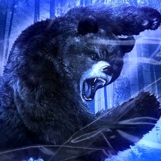 Логотип @magazinburiymedved - Buriy Medved🐻 info