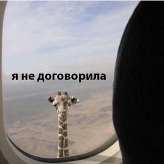 Логотип @magdalena_is - magdalena is...