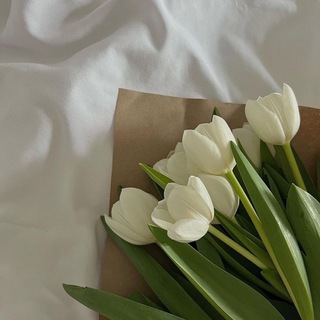 Логотип @magic_blog_woman - Magic blog for woman ✨