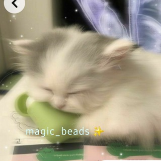 Логотип @magicbiser123 - ✨️magic_biser✨️