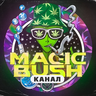 Логотип @magicbushchannel - Magic Bush канал НЕ