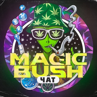 Логотип @magicbushchat - Magic Bush чат