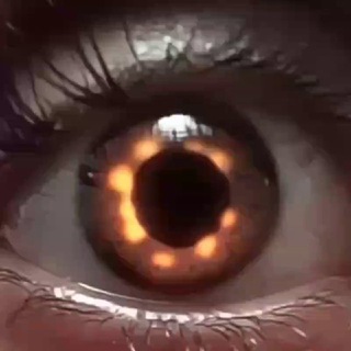 Логотип @magicsnowfold - Magic.Snowfold ⚔