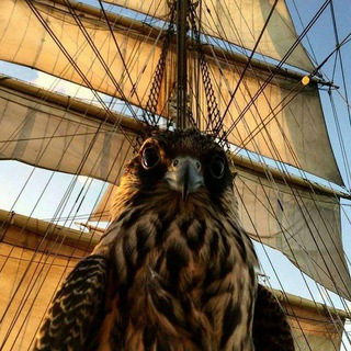 Логотип @magie_bizarre - magie bizarre | Наталия Осояну