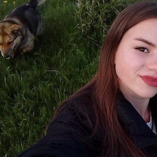 Логотип @magkielapki - Мягкие лапки🐾🐶🤎