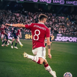 Логотип @magnificobruno - Магнифико Бруно