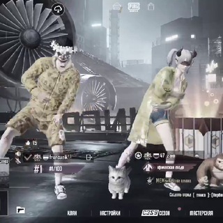 Логотип @magnumkf - ɪɴᴛᴇʀᴍɪɴᴠʟ