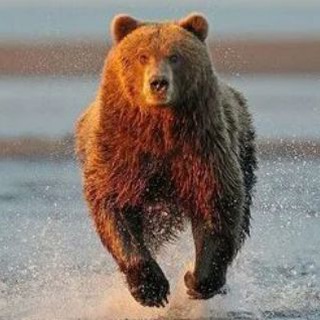 Логотип @magomed_o6 - Gusejnov