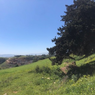 Логотип @mahdyibnsalah - Mahdy Ibn Salah