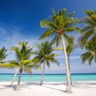 Логотип @mahnemnamore - МАХНЁМ НА МОРЕ |ФИЛИППИНЫ|