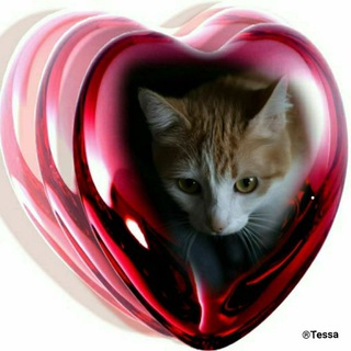 Логотип @majeigal - Buenos días & Buenas noches