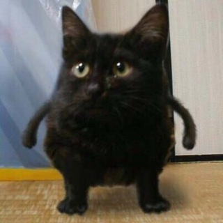 Логотип @majorkrugi - Круги под глазами