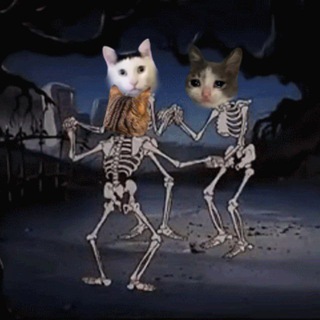 Логотип @makabr_memabr - Пляска мэмов