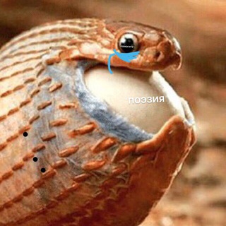 Логотип @makepoetrymemeagain - плохие фотки стихов, и рецензии не лучше