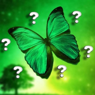 Логотип @makeprofitmake - MakeProfit