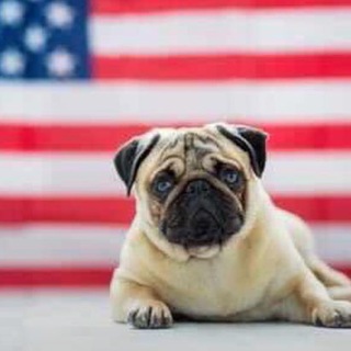 Логотип @makesomebread247 - GOD BLESS AMERICA🇺🇸🇺🇸