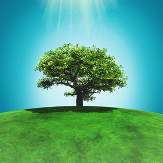 Логотип @maket_story - Daily Discovery 🌏