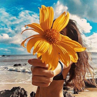 Логотип @maketi_stories - Готовые СТОРИС макеты