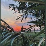 Логотип @maksmakd - Психология жизни