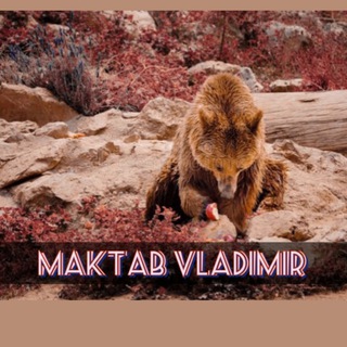 Логотип @maktabvladimir - Maktab Vladimir | مکتب ولادیمیر