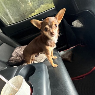 Логотип @maktooooo - Makto channel