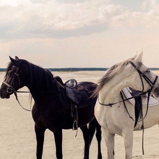 Логотип @maktub_private - Макту́б