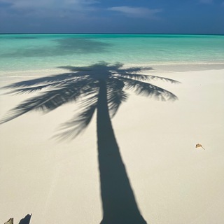 Логотип @maldives_vibes - 🌴 Мальдивы 🌴