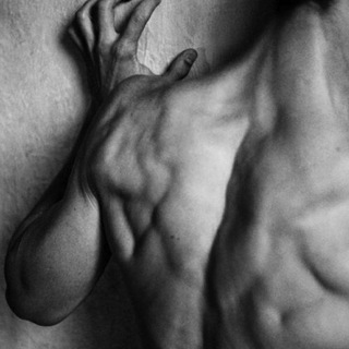 Логотип @male_body_aesthetics - Мужская эстетика