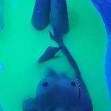 Логотип @malina_krasnodar - 💋Эротический массаж для мужчин |Краснодар💋