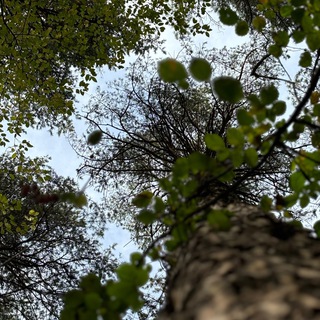 Логотип @malinakkk - «Душевная пустота»