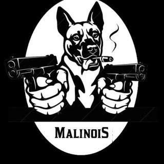 Логотип @malinovii_yantar_k9 - Малиновый янтарь_К9|малинуа