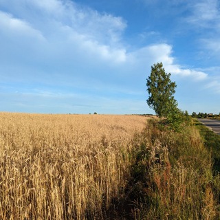 Логотип @malkv2 - malkv's photos