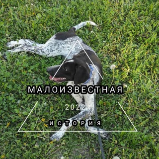 Логотип @maloizvestnaya_istoria - Малоизвестная история