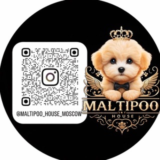 Логотип @maltipoo_house - Мальтипу щенки, maltipoo f1, по всему миру🌏