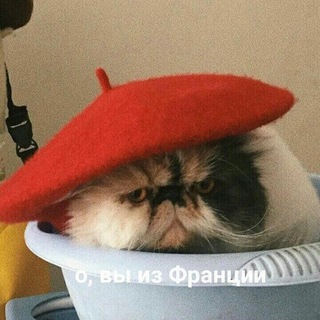 Логотип @maltsevaph - Anastasia Maltseva | Ph.