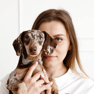 Логотип @mama_takss - Таня и такса на колесах