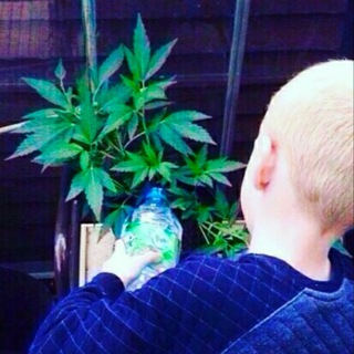 Логотип @mamanual - Мамкин Мануальщик