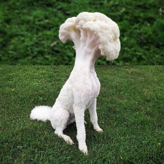 Логотип @mamayavtelege - Шизобазис «Мурзилка»