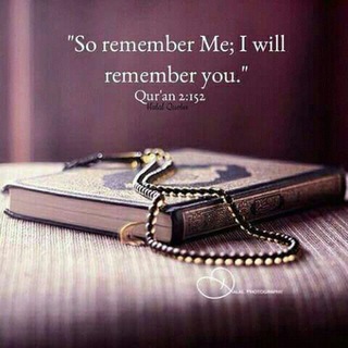 Логотип @mamila_love - Ahlul quran we ahlul eilm
