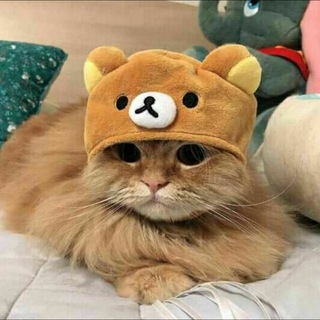 Логотип @mamodemeemstash - mamode wan meem