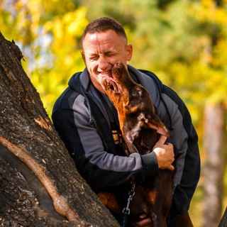 Логотип @man_doberman - Человек собака | Бодибилдинг и доберманы