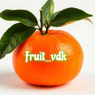 Логотип @mandarin_fruit_vdk_original - Mandarin_fruit_vdk