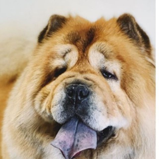 Логотип @manfybooks - Manfybooks