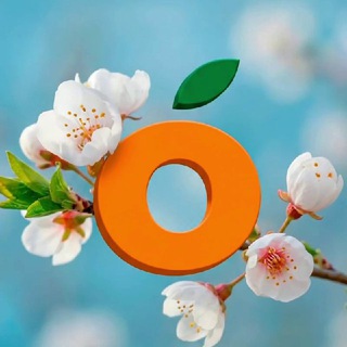 Логотип @mango_lpr - Манго | оптово-розничный центр