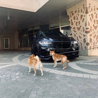 Логотип @manh3ttn - ᴍᴀɴʜᴀᴛᴛᴀɴ